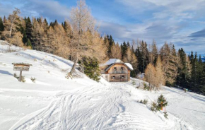 Ferienhuette In Lachtal Saalbach-Hinterglemm